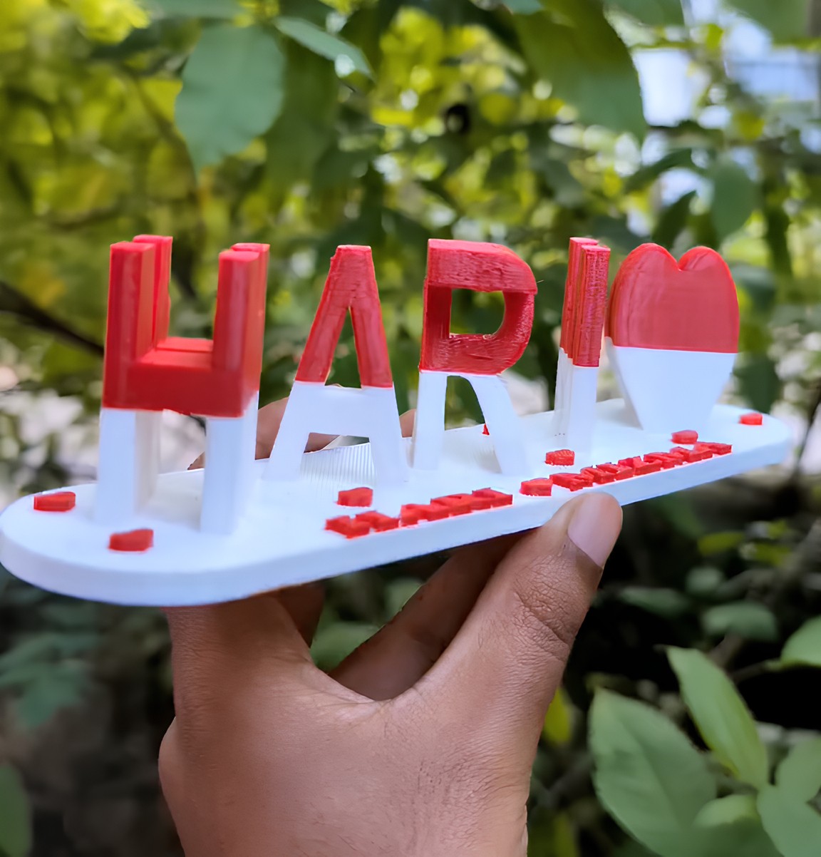 Heart Two-Color Two-Name Fantasy Love 3D Printing Sweet Gift